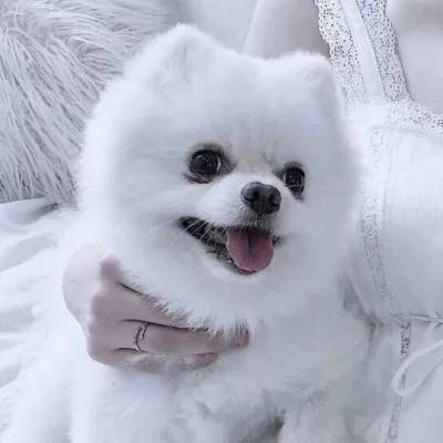 乐虎国际手机app下载